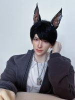 1/3 fashion BJD doll's head only Xyiz, Special links , withou body