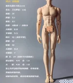1/6 resin model figures Hm body only, without head, fashion dolls hot dolls free shipping - Image 2