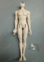 1/6 resin model figures Hm body only, without head, fashion dolls hot dolls free shipping - Image 3