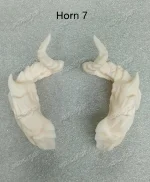 HeHeBJD Doll’s Accessories Resin Horn7 Free Magnets Art Fantasy Horns