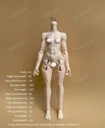 Brand New 1/4 Female doll’s body only Wolf Girl (without body), Muscle body Meat Leg BJD Doll Toys Pure Handicraft Art Ball Jointed Doll - Image 2