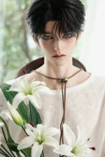 HeHeBJD 1/3 Doll's head Liid only,Handsome Resin Birthday Toy Ball Jointed Dolls Gifts